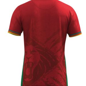 MAILLOT EXTERIEUR CAMEROUN 2025